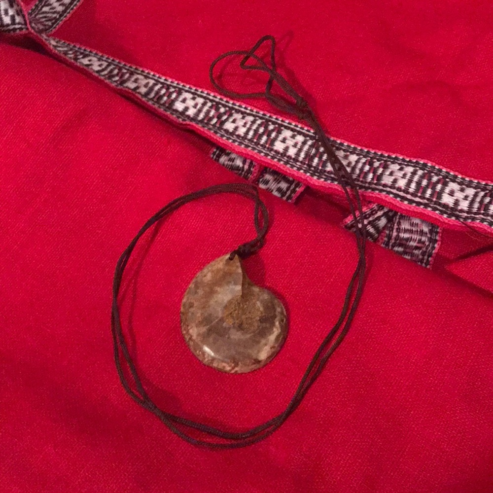 Nautilus Shell Necklace - Picture 3 of 3